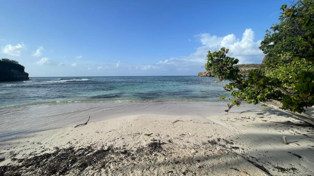 Appartement Cosy - Entre Nature Et Plages De Reve Le Gosier  Esterno foto